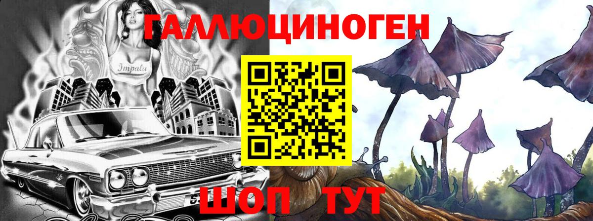 Камышин  Галлюциногенные грибы мухоморы  Вход с VPN 
