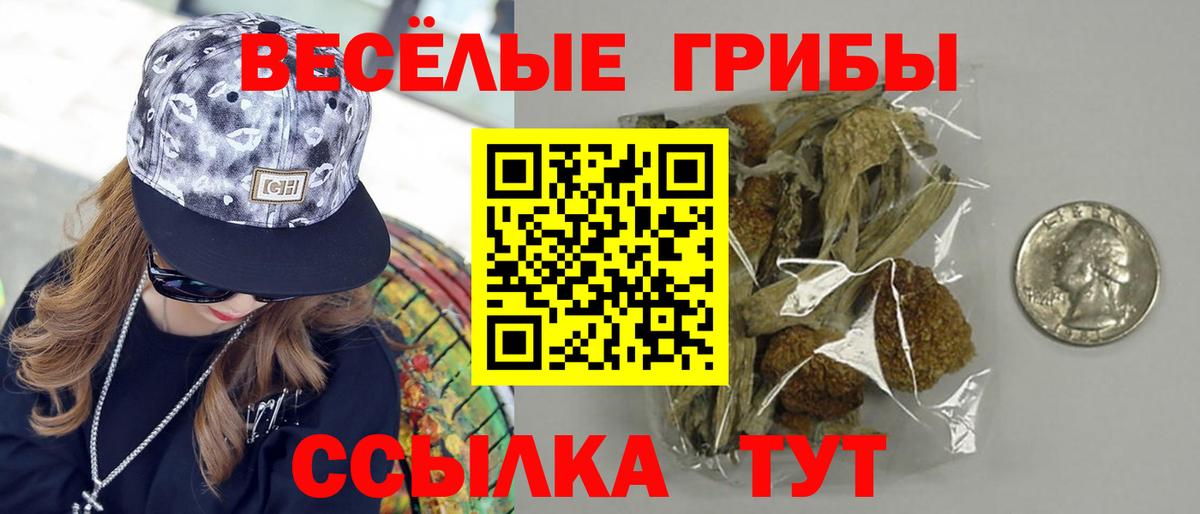 Псилоцибиновые грибы Psilocybine cubensis Камышин